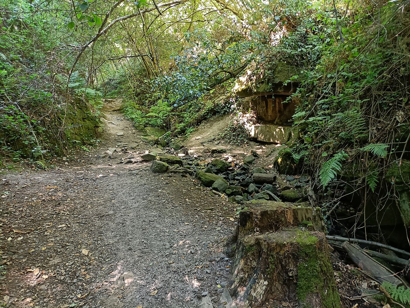 Mossbewachsener Wanderpfad zwischen Felsen und Wald im Pfälzerwald