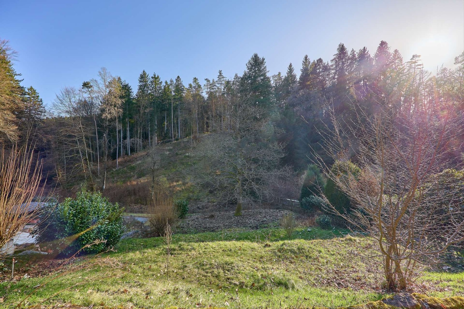 Waldlandschaft rund um Elmstein im Pfälzerwald