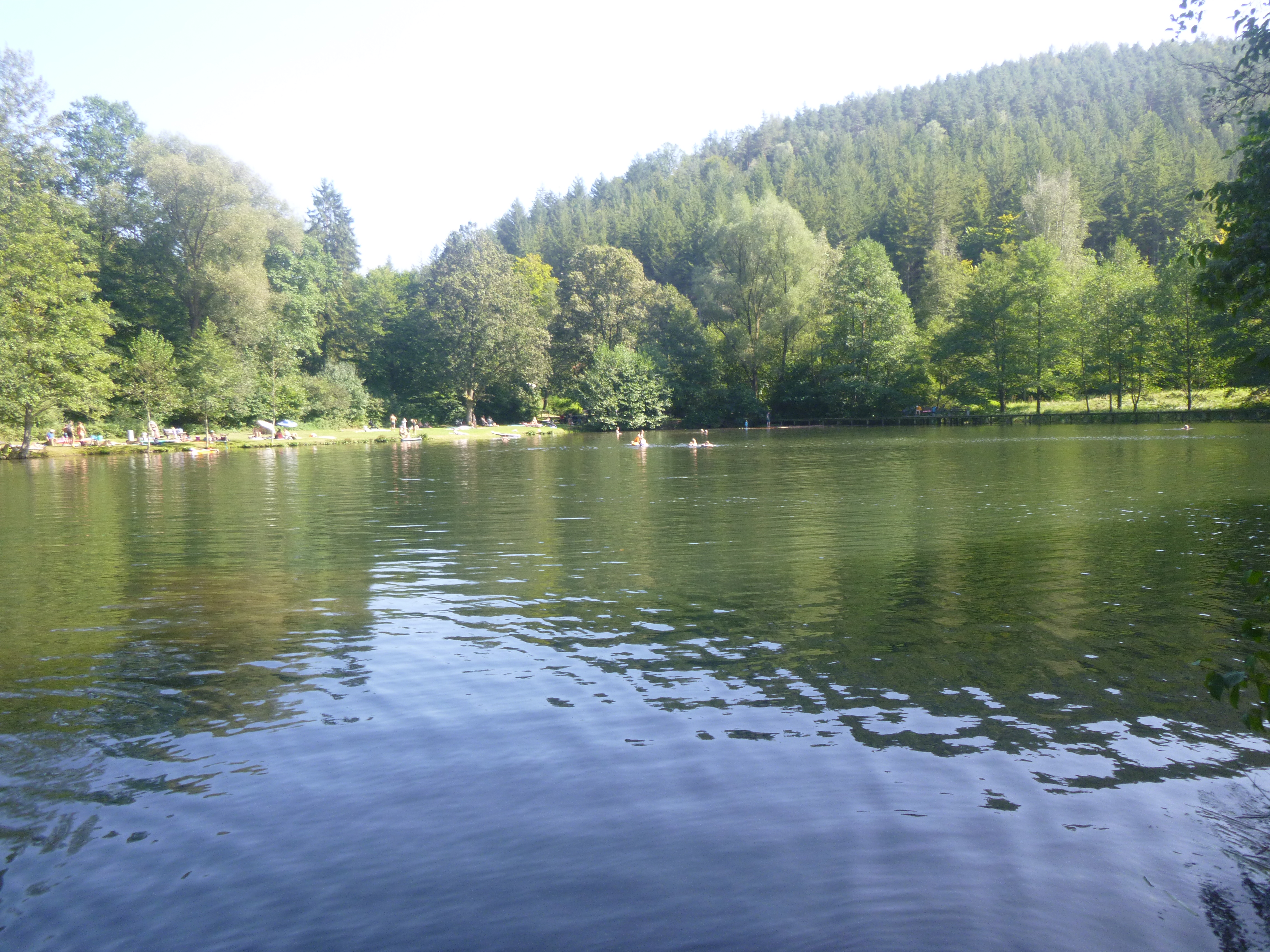 Helmbachweiher bei Elmstein mit Badegästen