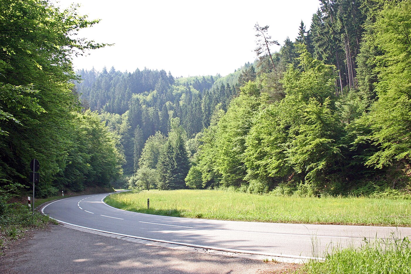 Grünes Tal mit Waldhängen im Elmsteiner Tal